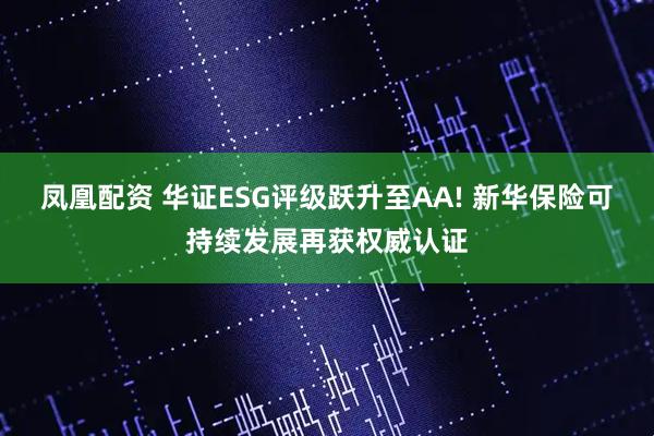 凤凰配资 华证ESG评级跃升至AA! 新华保险可持续发展再获权威认证