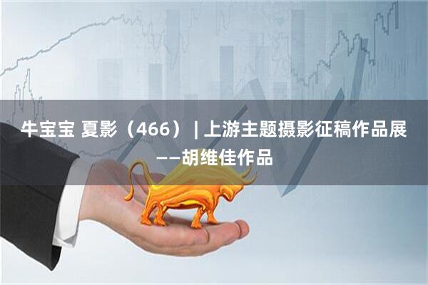 牛宝宝 夏影（466） | 上游主题摄影征稿作品展——胡维佳作品