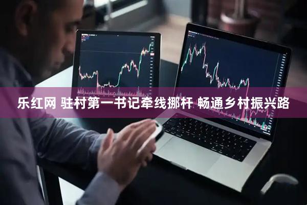 乐红网 驻村第一书记牵线挪杆 畅通乡村振兴路