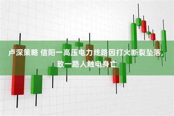 卢深策略 信阳一高压电力线路因打火断裂坠落, 致一路人触电身亡