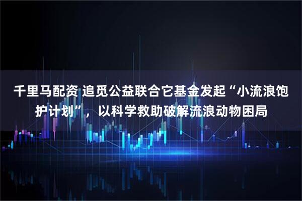 千里马配资 追觅公益联合它基金发起“小流浪饱护计划”，以科学救助破解流浪动物困局