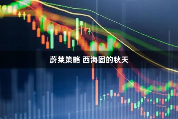 蔚莱策略 西海固的秋天