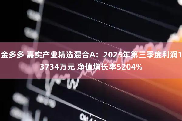 金多多 嘉实产业精选混合A：2025年第三季度利润13734万元 净值增长率5204%